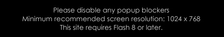 flash information