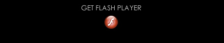 download flash player