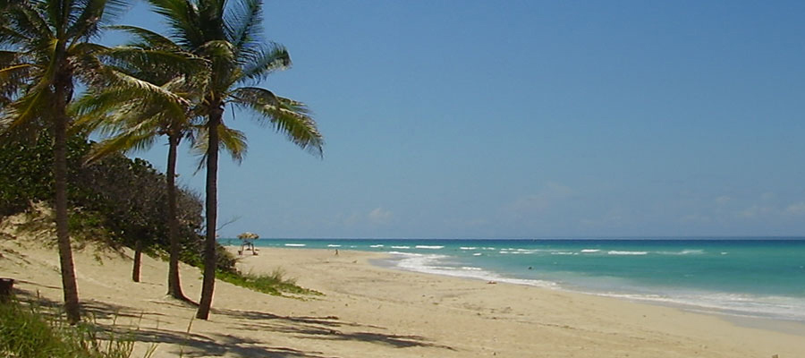 dominican republic weddings